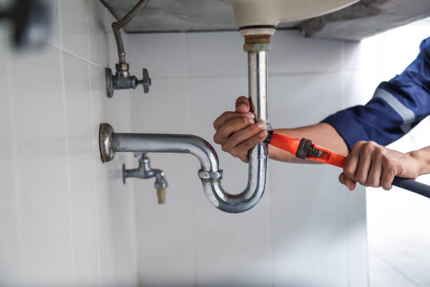 Best Affordable Plumbing Services  in Bass Lake, IN
