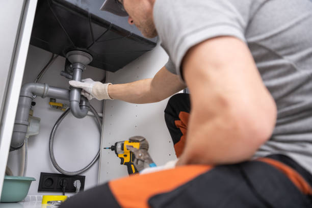 Best Affordable Plumbing Services  in Bass Lake, IN