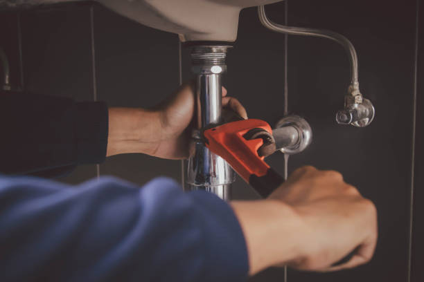 Best Best Plumbers Near Me  in Bass Lake, IN